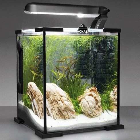 Shrimp tank starter sales kit